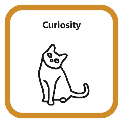Curiosity2 EN