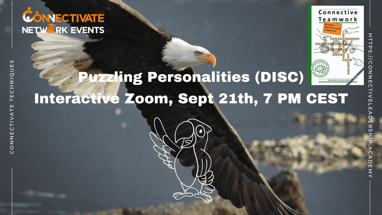 Puzzling Personalities (DISC) Interactive Zoom, Sept 21th, 7 PM CEST